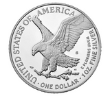 2023 American Eagle Silver Coin – 1 oz BU | Brilliant Uncirculated Bullion  -  sold by Novari Partners
